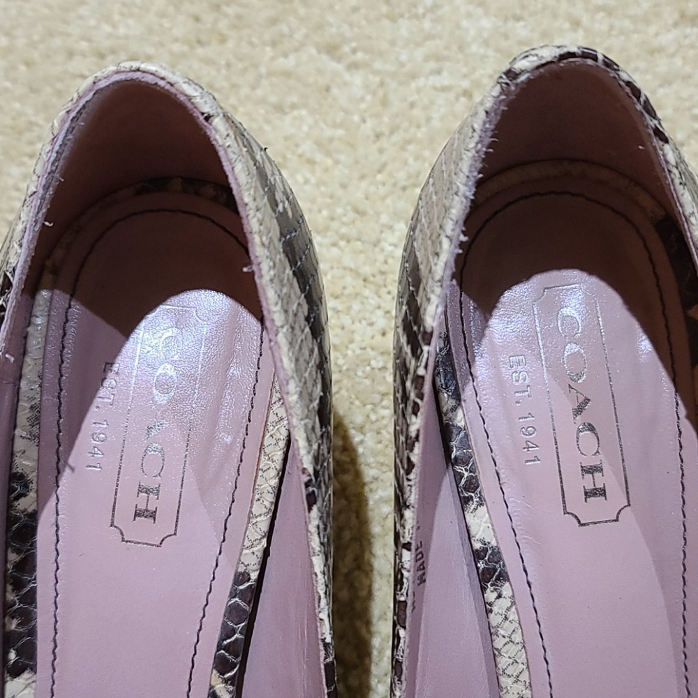 Coach python pumps - Picture 4 of 6